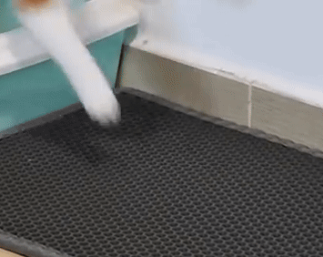 GIF 1