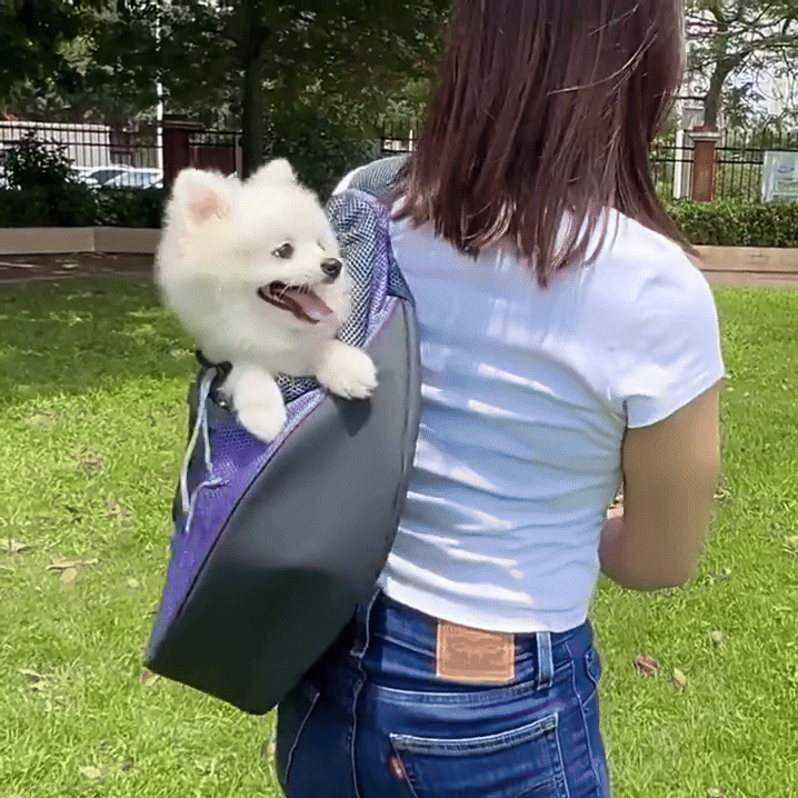 GIF 1
