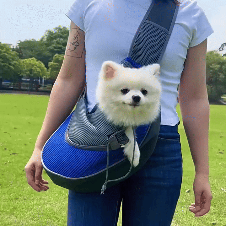 GIF 2