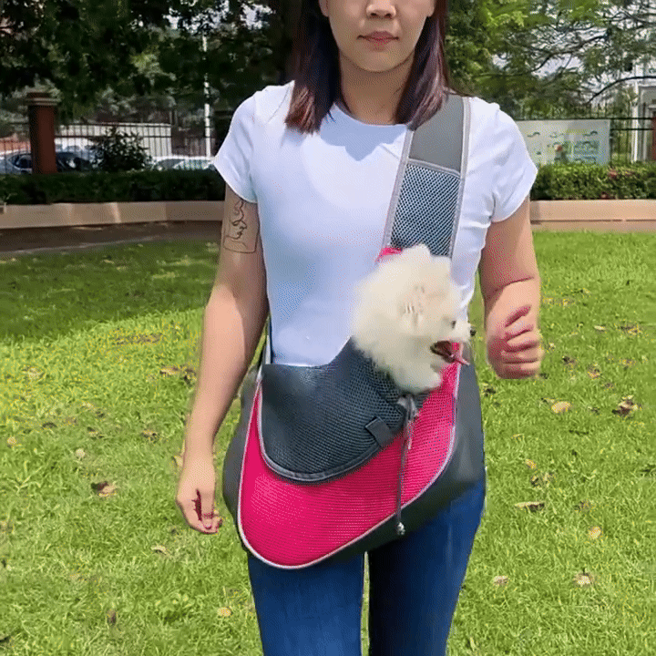 GIF 3