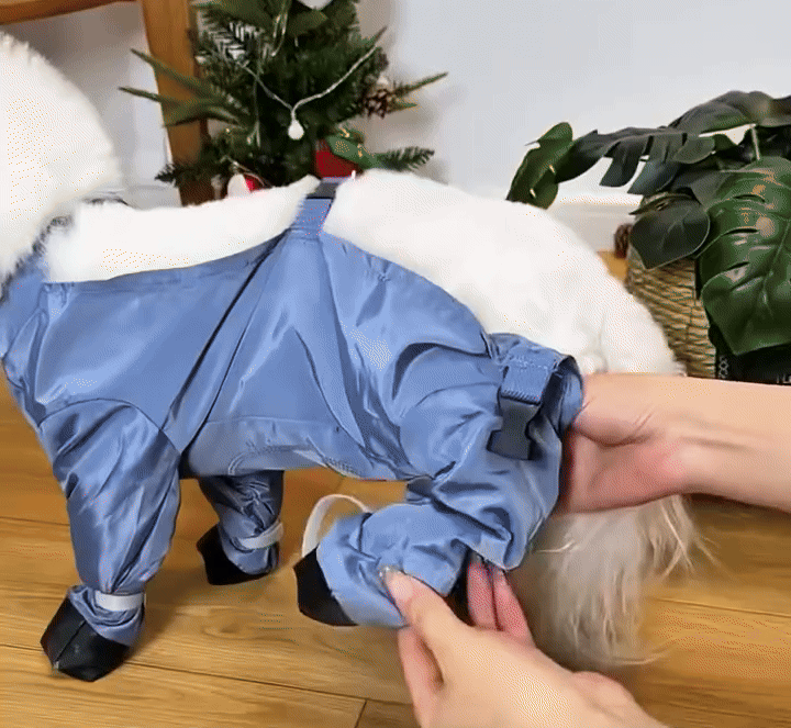 GIF 3