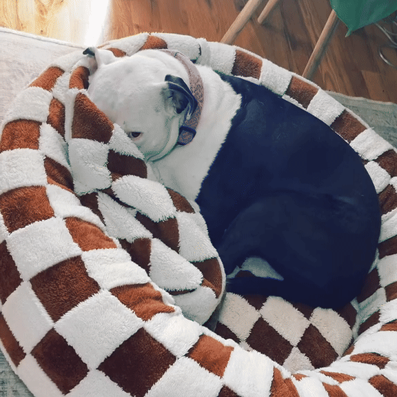 GIF 1