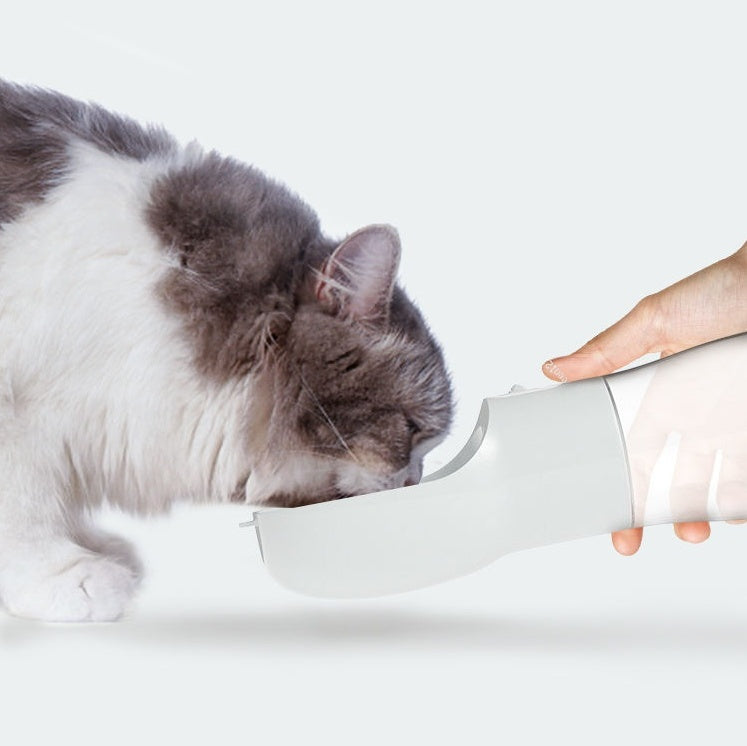 Traveling Out Portable Dog Water Dispenser – Leak-Proof, One-Hand Use & BPA-Free