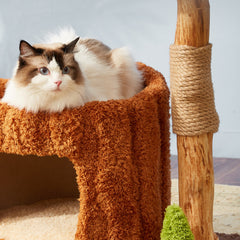 Solid Wood Cat Tree Tower with Sisal Scratching Posts — Cute Climbing Frame Playhouse in Multiple Styles