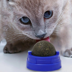 Catnip Licking Ball for Cats – Interactive Wall-Mounted Treat for Stress Relief & Play