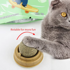 Catnip Licking Ball for Cats – Interactive Wall-Mounted Treat for Stress Relief & Play