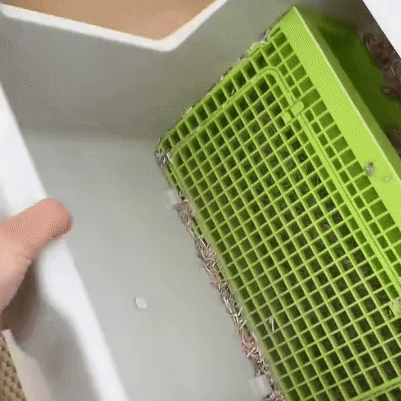 GIF 2