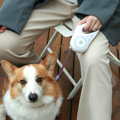 Retractable Dog Leash with LED Light & Collar – For Small & Medium Dogs