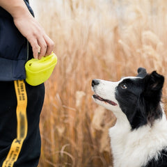 Dog Training Treat Waist Bag – Portable Outdoor Pet Snack Pouch for Obedience & Agility Training