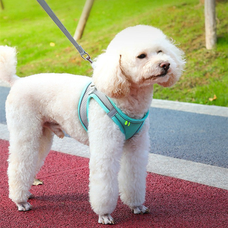 Reflective Dog Vest Harness with Leash – Breathable, Stylish & Secure Pet Walking Gear