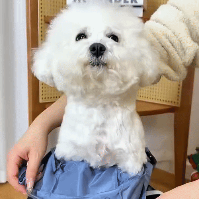 GIF 1