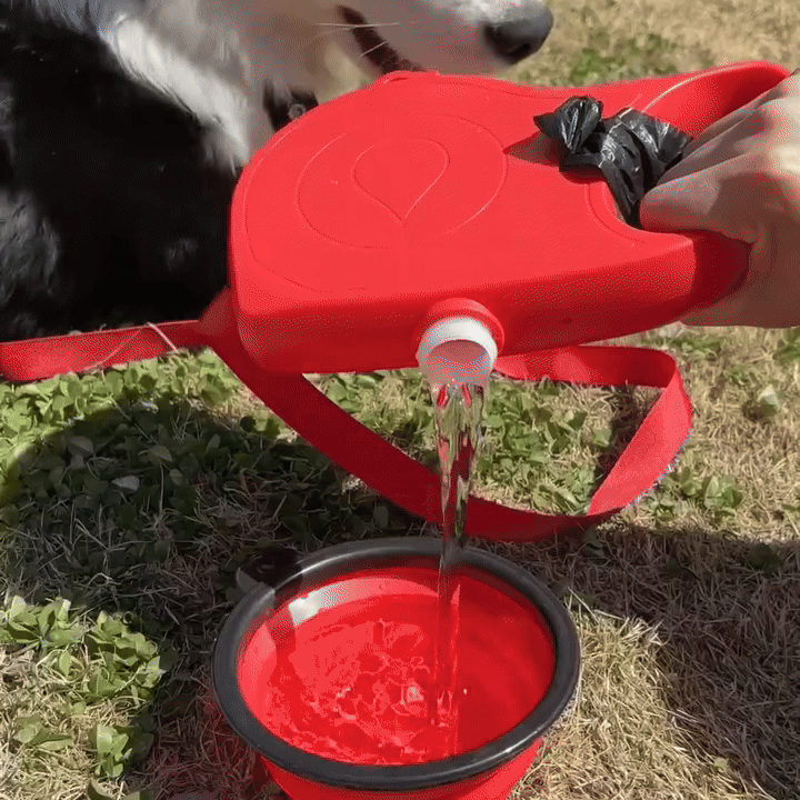 GIF 2