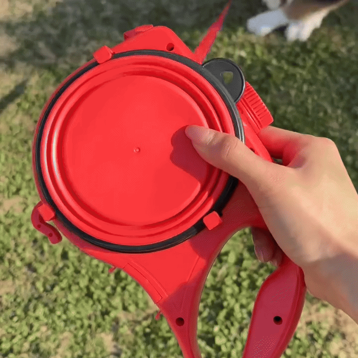 GIF 1