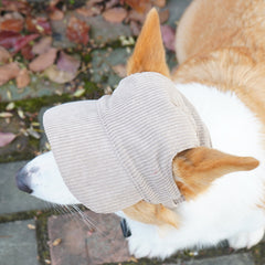 Casual Dress-Up Hat for Cats & Small Dogs — Soft, Adjustable & Adorable Pet Accessory