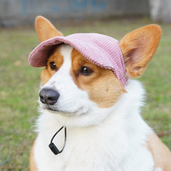 Casual Dress-Up Hat for Cats & Small Dogs — Soft, Adjustable & Adorable Pet Accessory