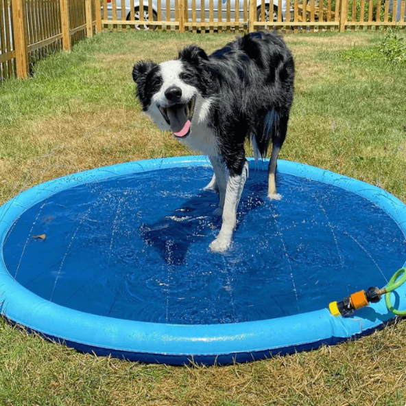 Thickened Pet Splash Pad – Outdoor Water Spray Mat Toy for Dogs & Cats