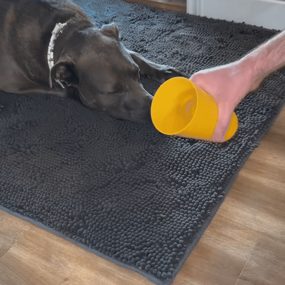 GIF 1