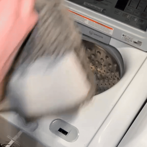 GIF 2